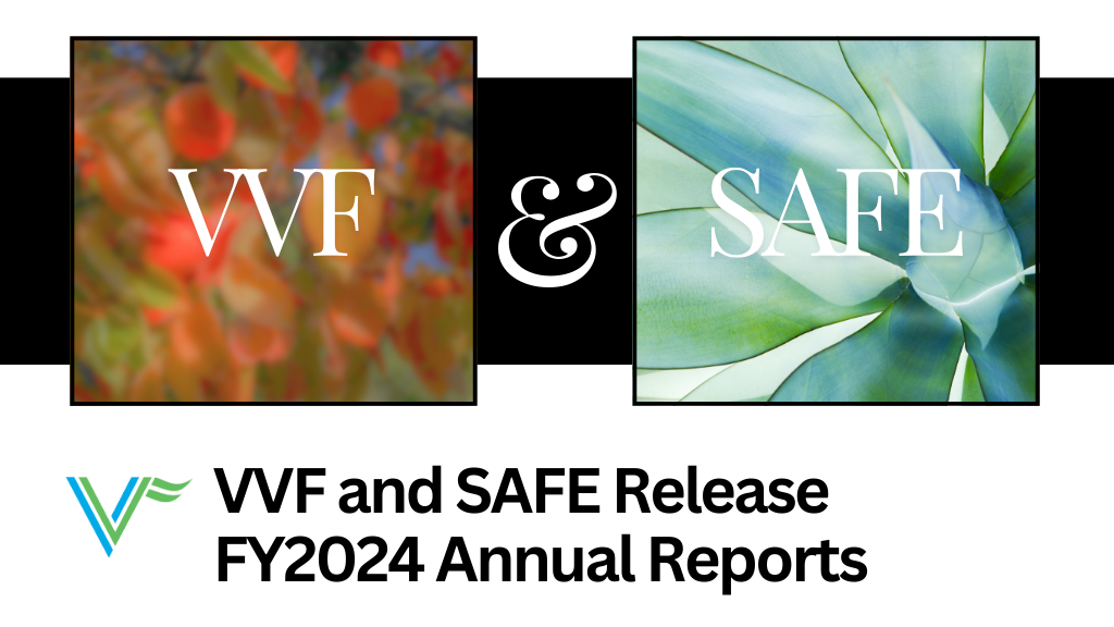 VVF Annual Reports